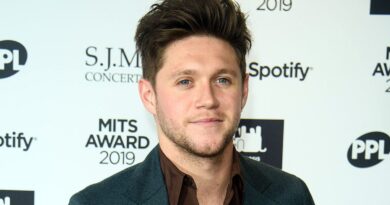 Niall Horan Net Worth 202