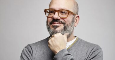 David Cross Net Worth 2020