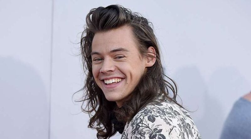 harry styles net worth 2021