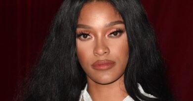 Joseline Hernandez Net Worth 2019 – Biography, Career