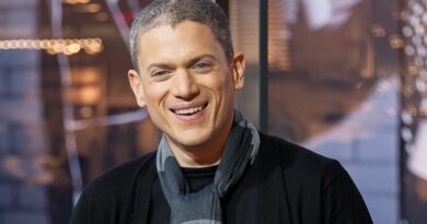 Wentworth Miller Net Worth 2021