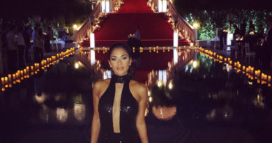 Nicole Scherzinger Net Worth – Biography, Career, Spouse And More