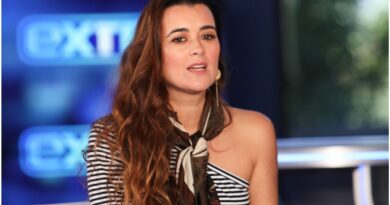 Cote De Pablo Net Worth 2021