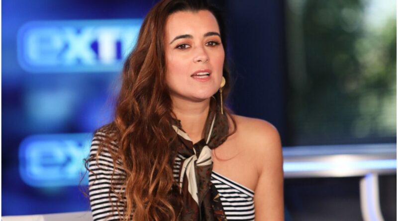 Cote De Pablo Net Worth 2021