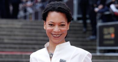 Nina Sosanya Net Worth 2022