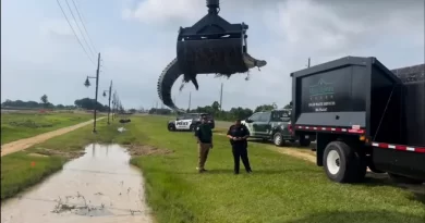 Watch as huge, 12-foot alligator dangles from grip of grapple truck in Texas